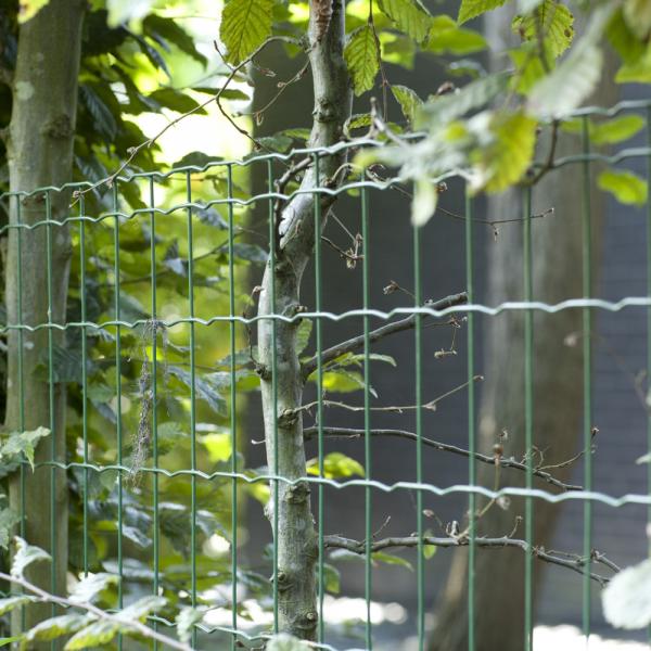 Pantanet Steel fencing rolls USA